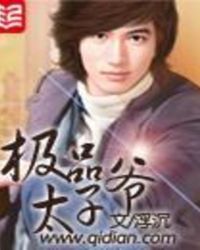极品全能高手